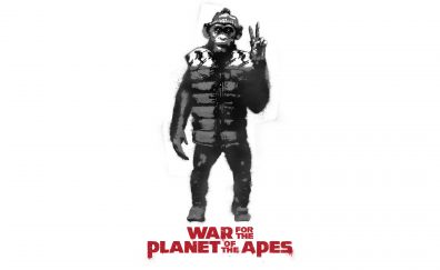War for the planet of the apes, movie, poster, monkey, 4k