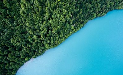 Blue lake, water, green trees, aerial view, forests, nature