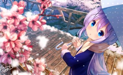 Blossom, outdoor, anime girl, kafuu chino