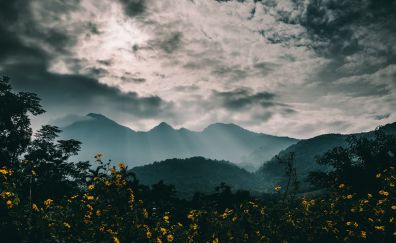 Mountains, fog, flowers, clouds, 5k