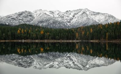 Mountains, reflections, tree, 5k