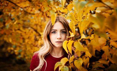 Autumn, girl's face, model, leaves