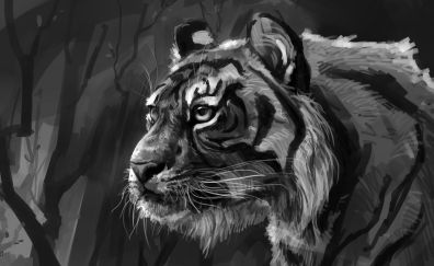 Tiger, predator, muzzle, dark, art
