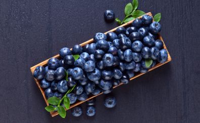 Blueberry, berries, fruits