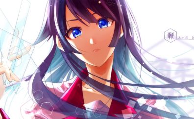 Hitagi Senjougahara, anime, anime girl