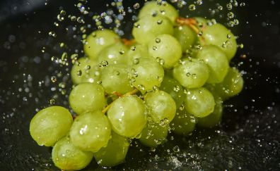 Green grapes, fruits, water drops