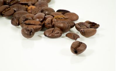 Coffee beans, beans, close up, caffine