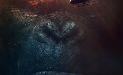 Kong: skull island movie 2017