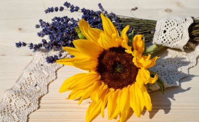 Lavender, sunflower, flowers