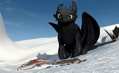 Toothless, Dragon, How to Train Your Dragon movie