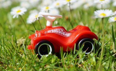 Child car, toy, meadow, wild flowers