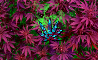 Leaf abstract artwork