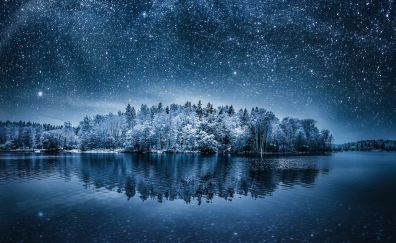 Lake, tree, winter, reflections, night, nature, lake, sky, stars