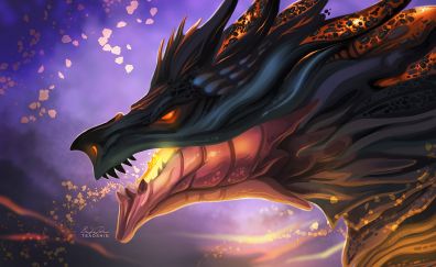 Dragon, fantasy