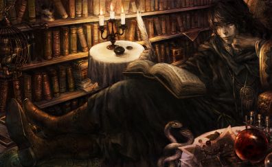 Dragon's crown, fantasy, reading book, library