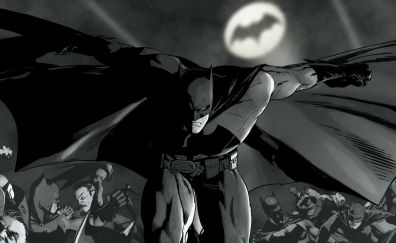 Monochrome, batman, dc comics