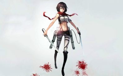 Mikasa Ackerman, Swords, anime girl, Attack on Titan