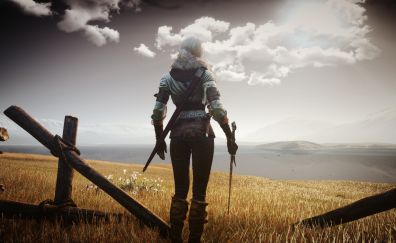 Ciri, landscape, the wicther, video game