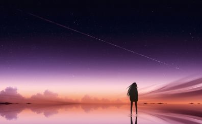 Anime girl, outdoor, night, comet fall