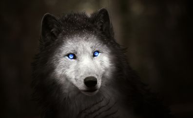 Blue eyes, wolf muzzle, art