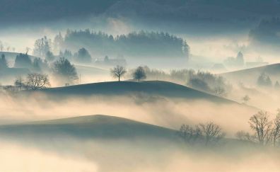 Mist, fog, dawn, landscape, nature, horizon