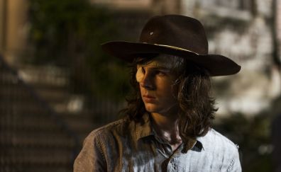 Carl grimes, Chandler Riggs, the walking dead, tv show, 2017, 4k