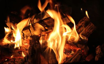 Bonfire fire flame