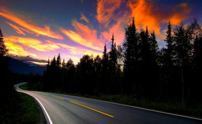 Sunset, highway, road, trees, nature