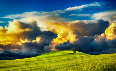 Countryside, landscape, tree, clouds, sky