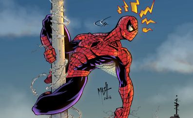 Spider-man, curious, marvel comics