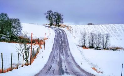 Road in winter, landscape