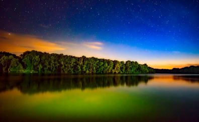 Tree, lake, night, stars, reflections, nature