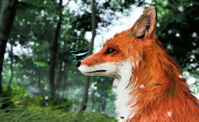 95 Fox Wallpapers, Hd Backgrounds, 4k Images, Pictures Page 1