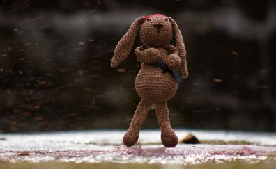 Hare, stuffed toy