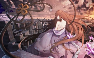 Anime girl, long hair, roof top