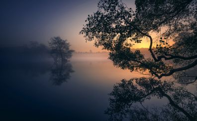 Fog, lake, tree, reflections, 5k