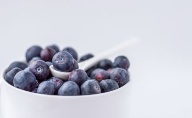 Blueberry, blue fruits