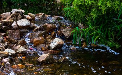 Rocks, river, nature, stream