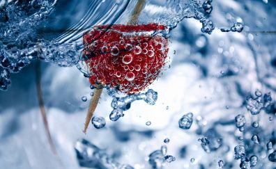 Bubbles, raspberry, fruit, submerged
