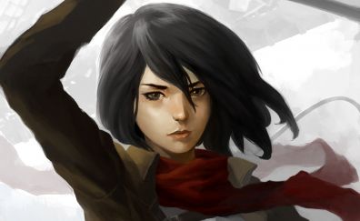 Mikasa Ackerman, Attack On Titan, anime, anime girl, face