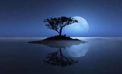 Moon, night, tree, reflections, art