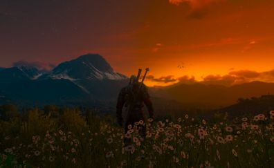 The Witcher 3: Wild Hunt, video game, sunset, landscape
