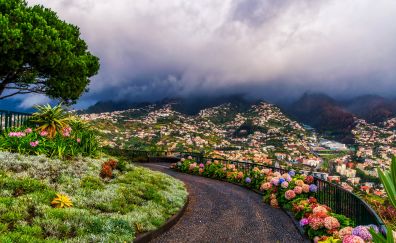 Madeira, city, hill station, town, mountains, clouds, flowers