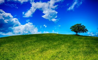 Hill, tree, landscape, nature, sky, clouds