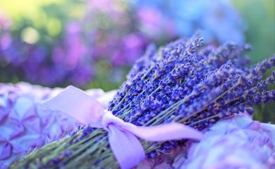 Bokeh, fresh flowers, lavender, purple