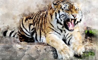 Tiger, predator, roar, art, 4k