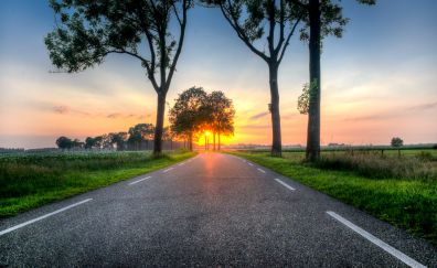 Road, trees, landscape, sunset