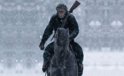 War for the planet of the apes, movie, monkey, horse riding, 5k