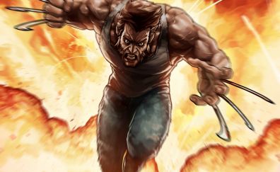 Angry Wolverine, X-men, marvel comics, fan art
