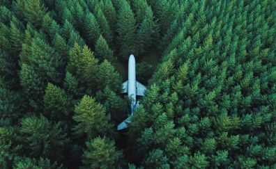 Airplane, aircraft, trees, aerial view, 4k
